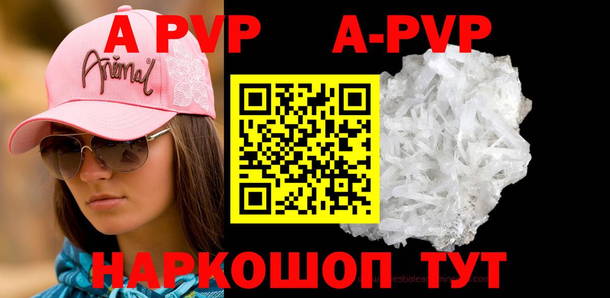 А ПВП СК Сургут