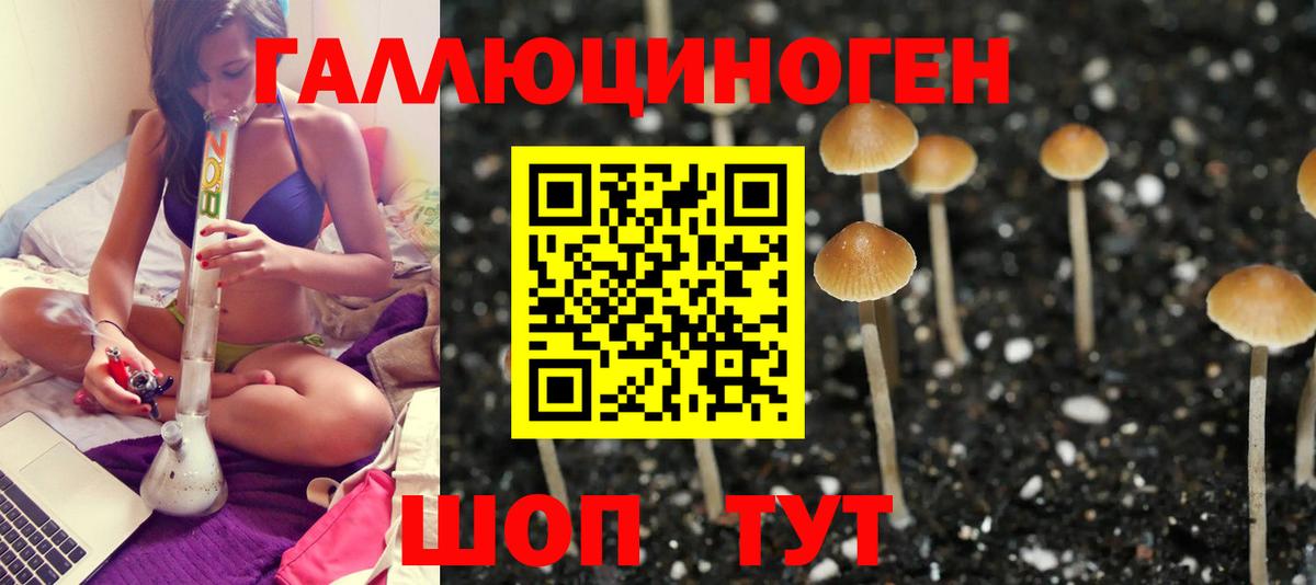 Псилоцибиновые грибы мухоморы Сургут